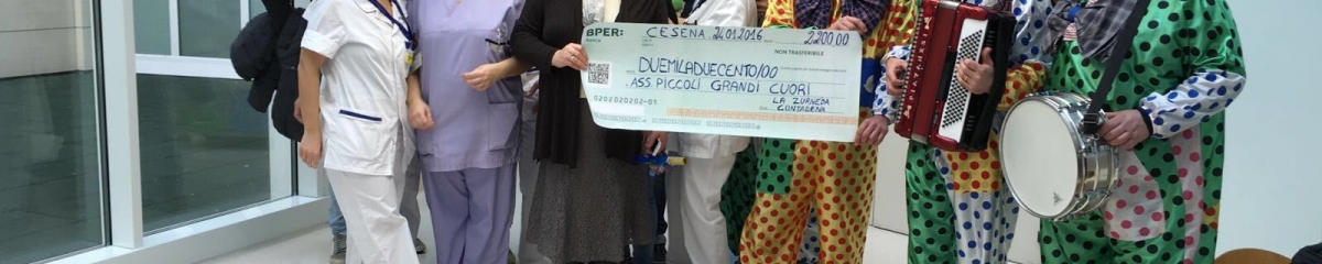 Associazione Qualcosa di Grande per i Piccoli: 2.200 euro donati dal cuore della Romagna!
